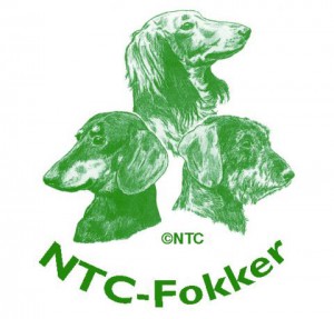 Logo_NTC_fokker